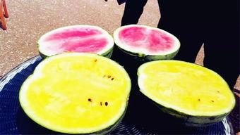 揭阳爆料吃瓜,吃瓜群众揭秘当地热点事件